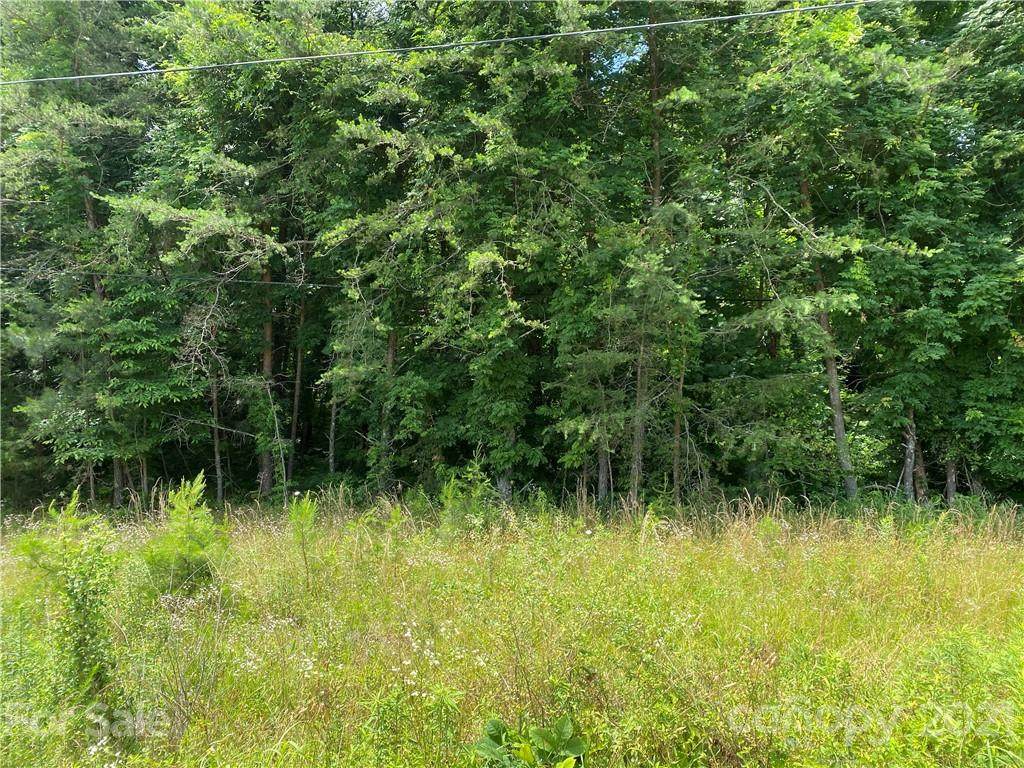 0 Lail Road - Photo 1