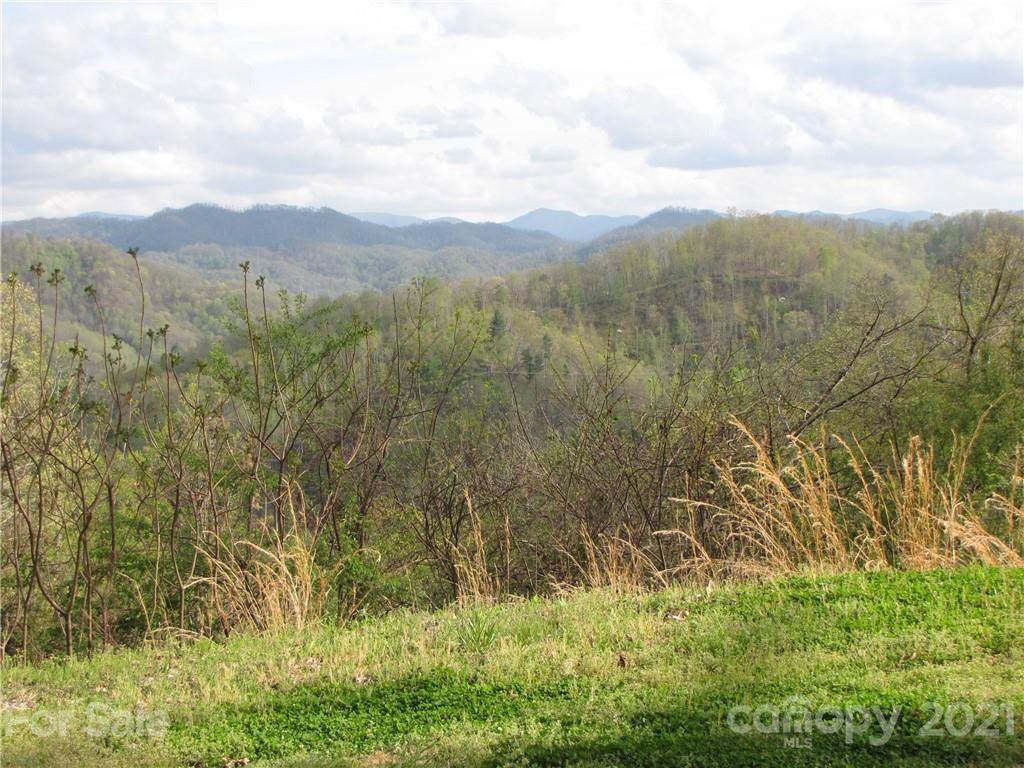 209 Sandys Home Place - Photo 1