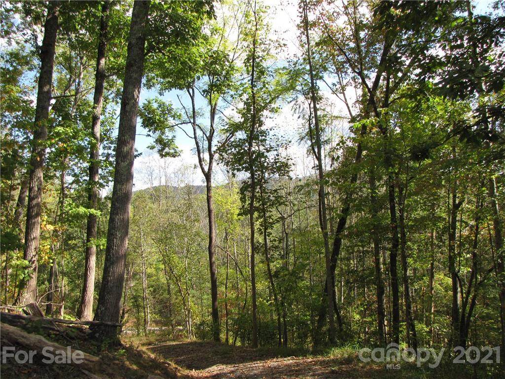 225 Maddie Way - Photo 1