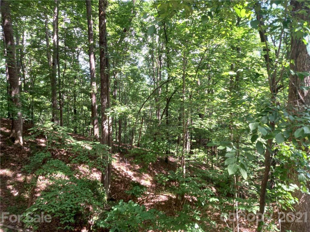 LOT 92 Whitney Boulevard - Photo 1