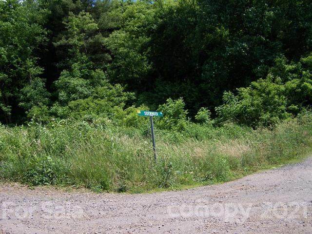 TBD Sidewinder Drive - Photo 1