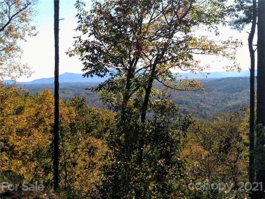 LOT 207 Golden Ridge Drive - Photo 1