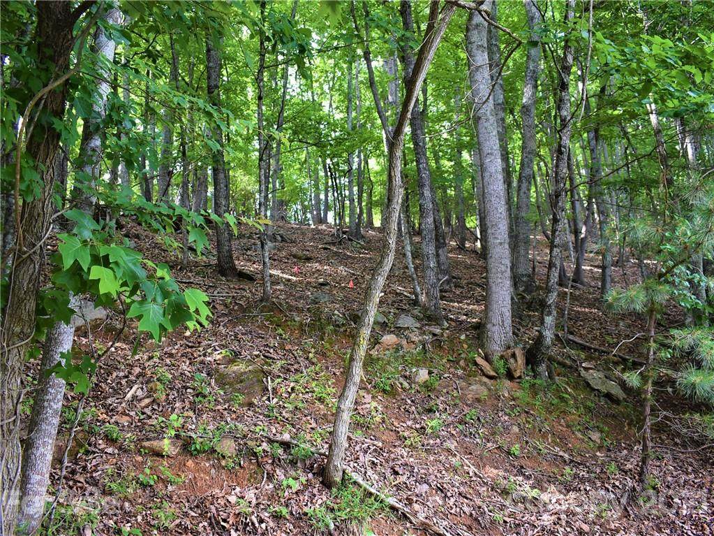 0000 Cedar Drive - Photo 1
