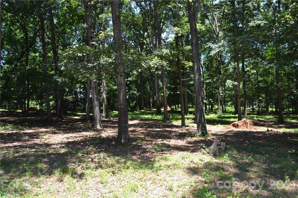 39-44 Jo Monni Loop - Photo 1