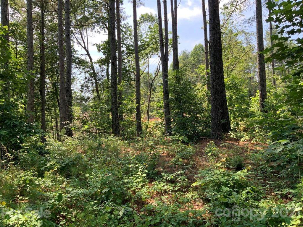 1243 Lake Vista Court - Photo 1