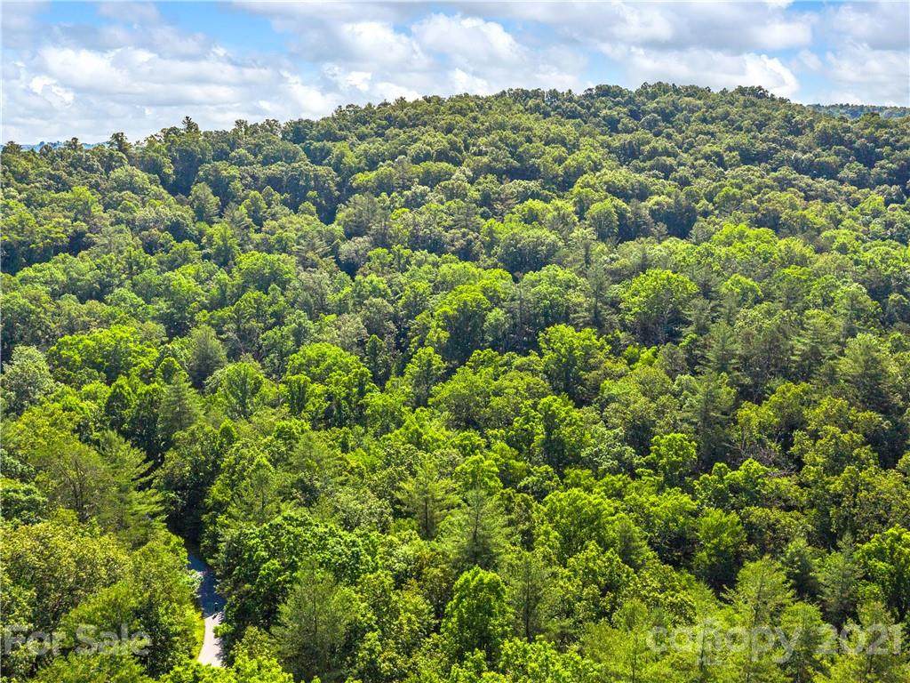 LOT 9 Turkey Paw Trail - Photo 1