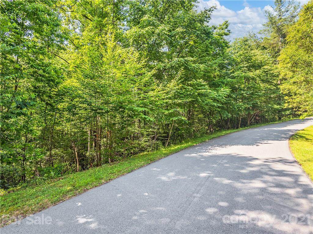 44 Turkey Paw Trail - Photo 1