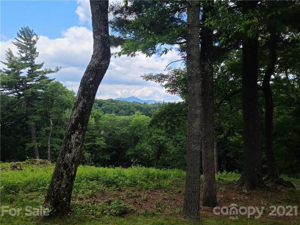 0 Firethorn Trail - Photo 1