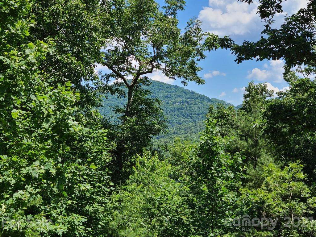 99999 Black Oak Drive - Photo 1