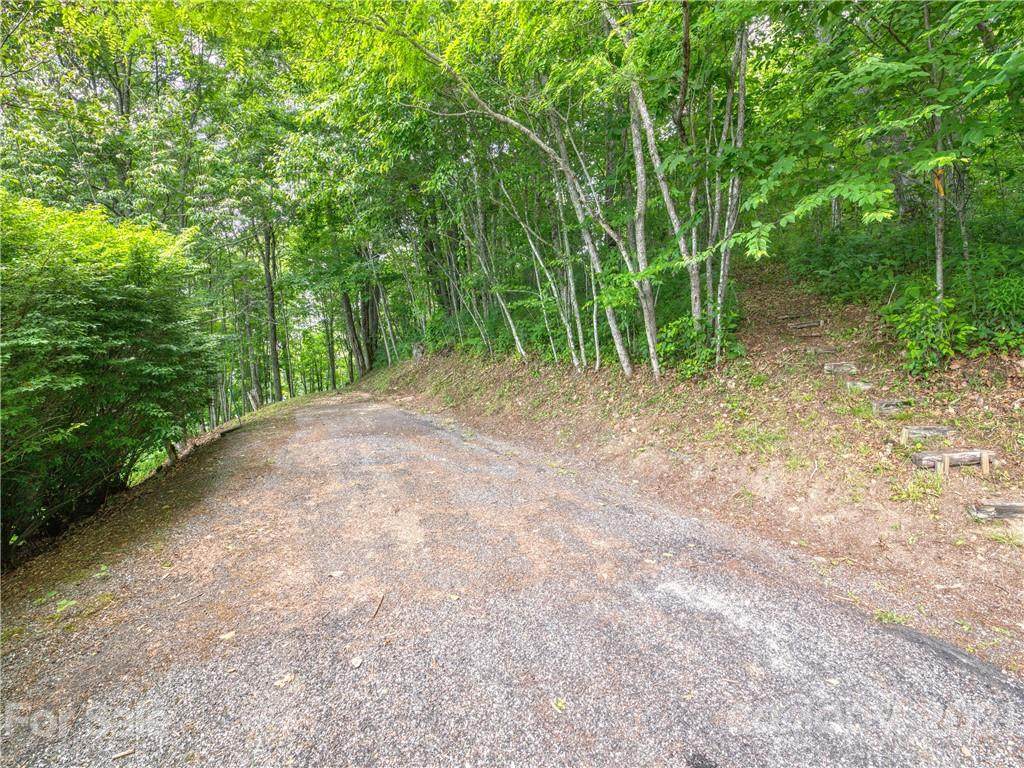 00 Alpine Lane - Photo 1