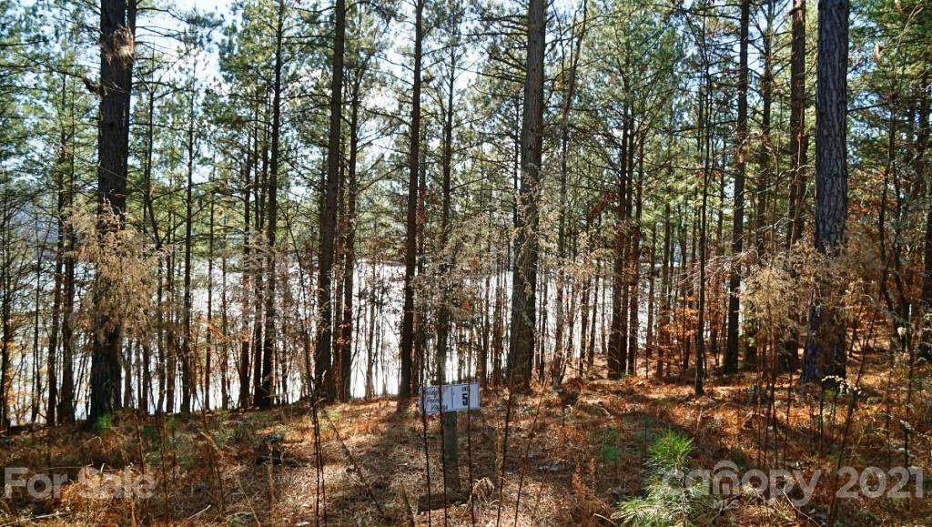 6097 Castle Bridge Drive - Photo 1
