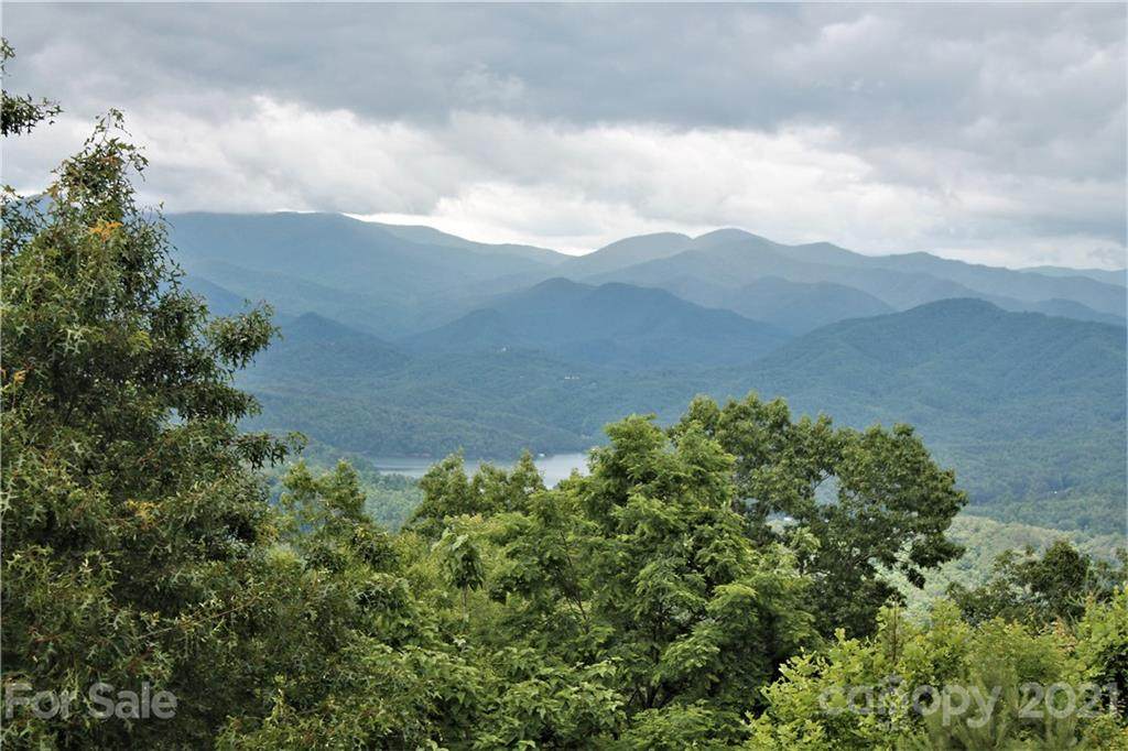 0 Shiners Ridge - Photo 1