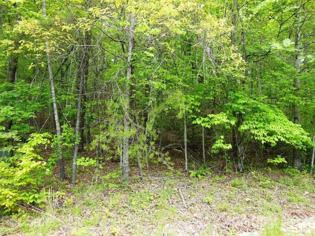 111 Yates Lane - Photo 1