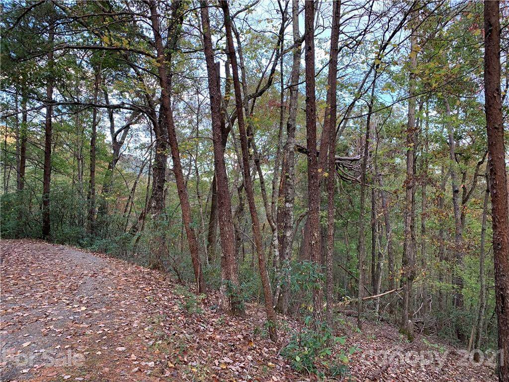 131 Bonnie Lee Lane - Photo 1