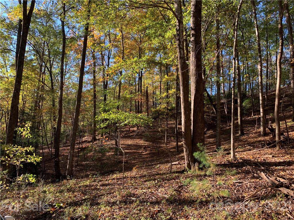162 Chilly Creek Lane - Photo 1