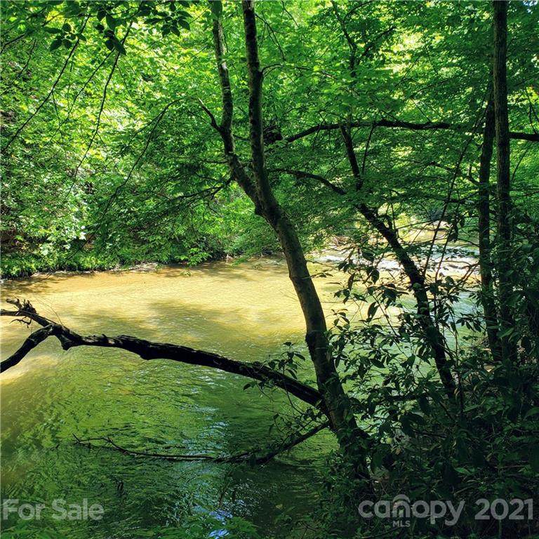 Lot 5 Appaloosa Lane - Photo 1