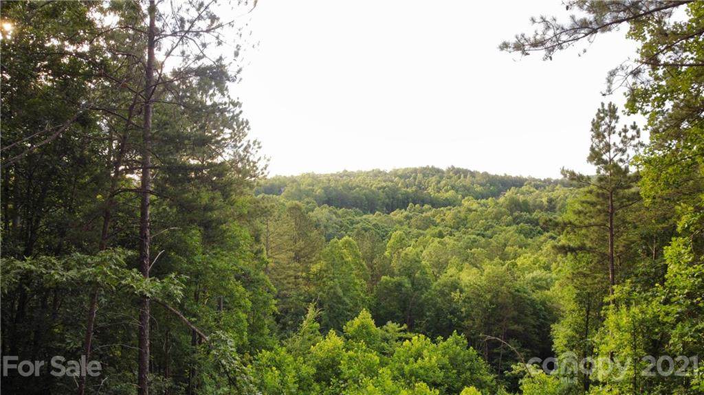 Lot 489 Bella Vista Way - Photo 1