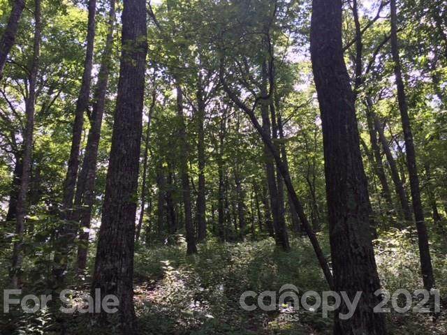 0 Alderfly Court - Photo 1