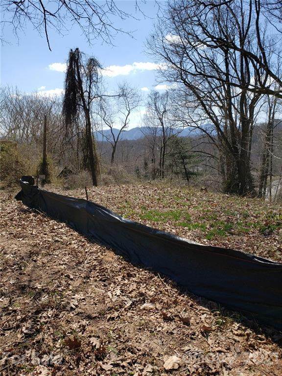 636 Deaverview Road - Photo 1