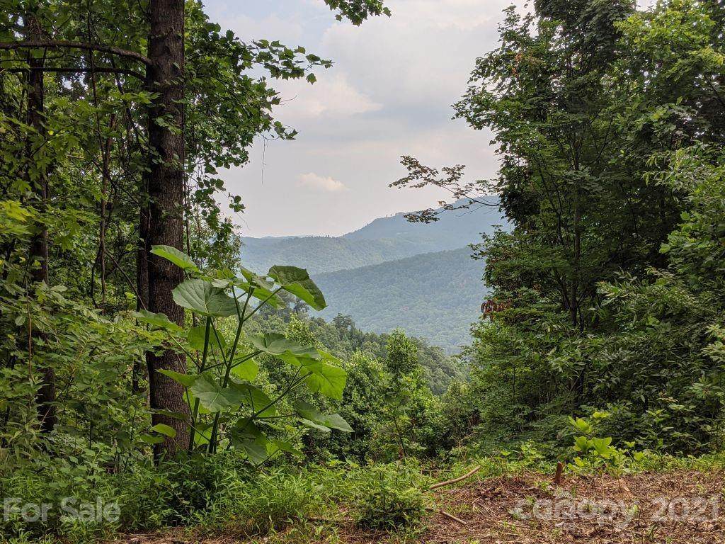 T-62 501 Warbler Lane - Photo 1