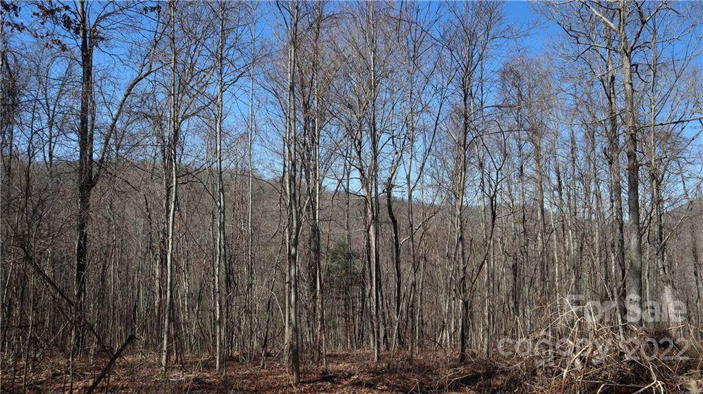 99999 High Top Mountain Road - Photo 1