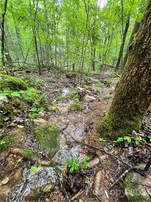 99999 Plum Tree Holler Drive - Photo 1
