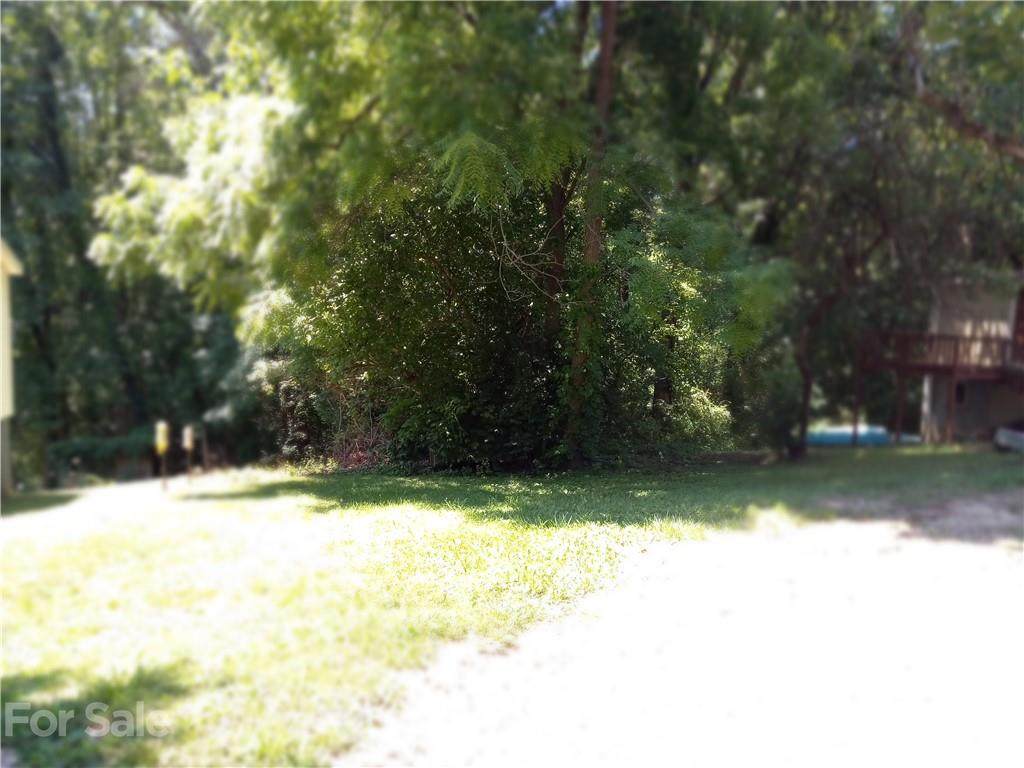 N/A Seagle Street - Photo 1
