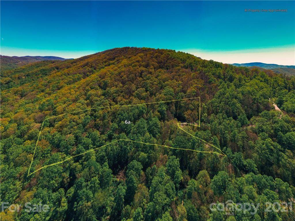 LOT 6A Flora Rose Trail - Photo 1