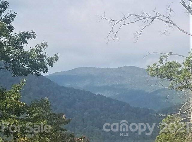 0 Conleys Creek Road - Photo 1