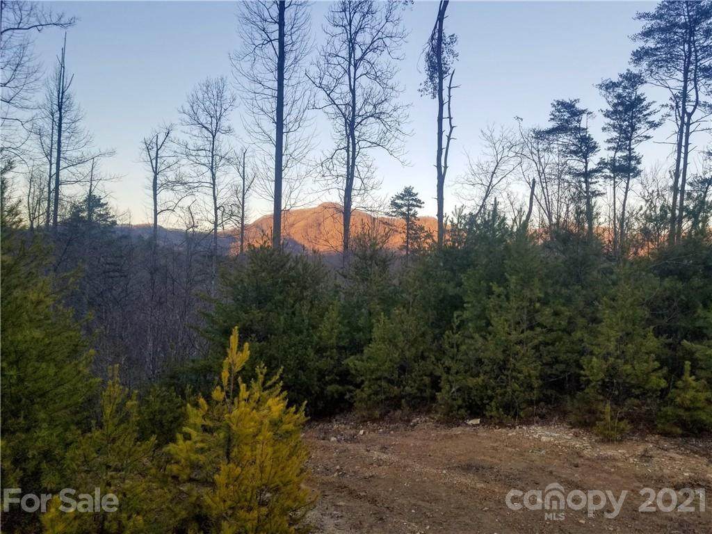 00 Thomas Valley Road - Photo 1