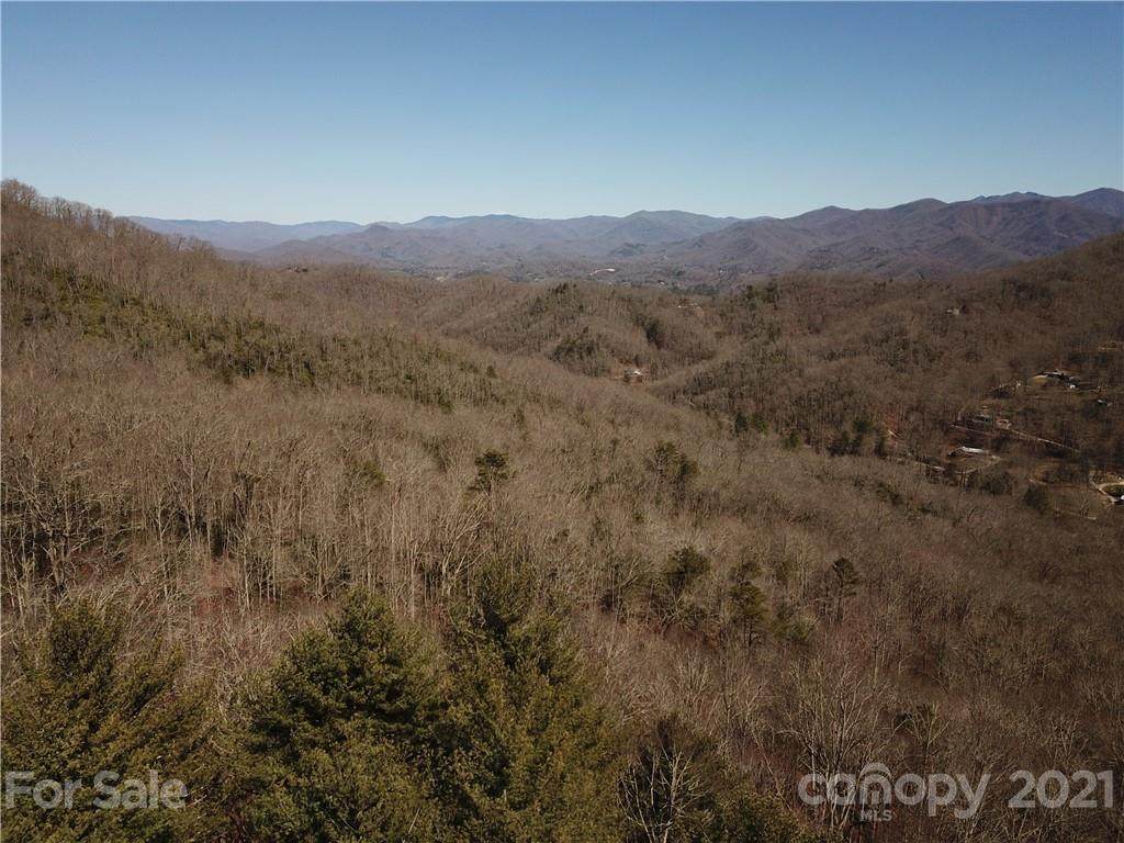 0 Andrew Davis Road - Photo 1