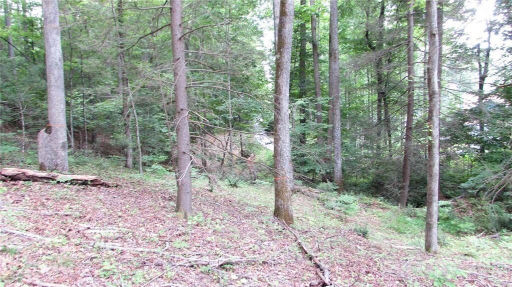 00 Deer Park Lake Road - Photo 1