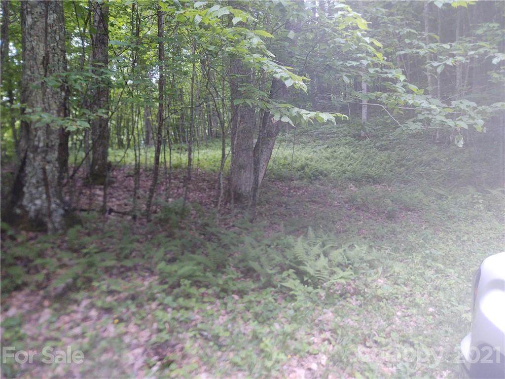 1 Haw View Drive - Photo 1