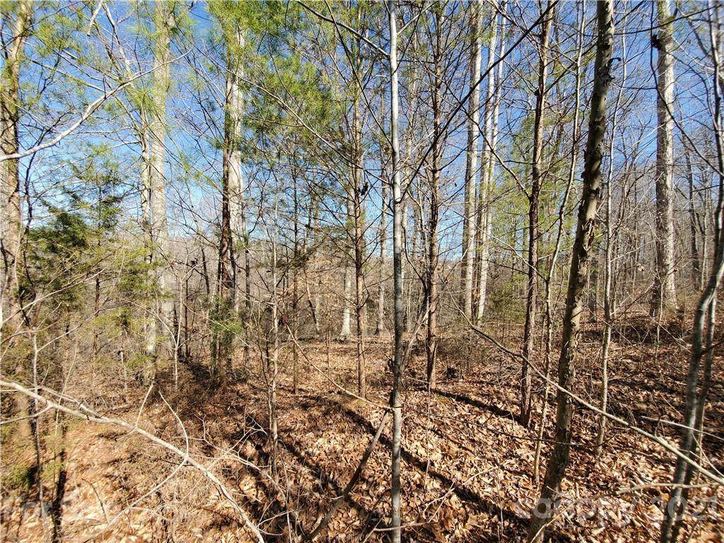 3118 Mountain Creek Drive - Photo 1