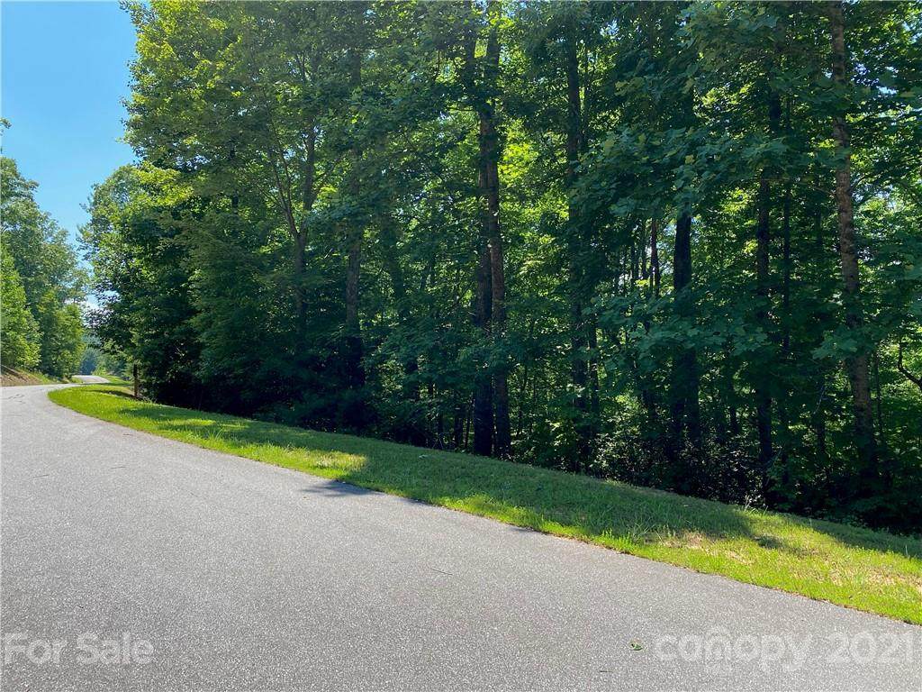 V/L 86 Black Lark Drive - Photo 1