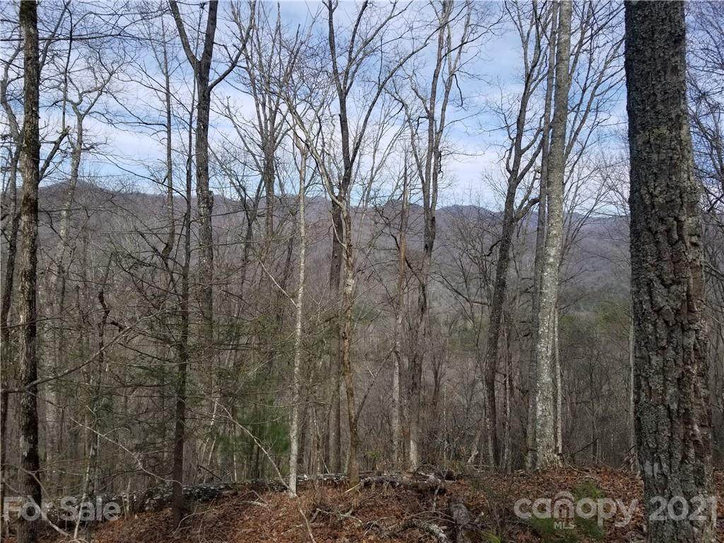 00 Brush Creek - Photo 1
