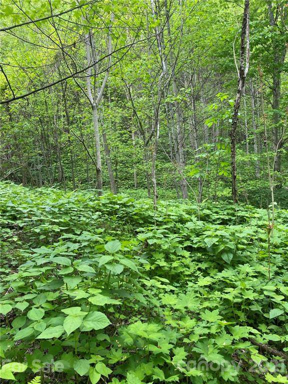 000 Aaron Branch Road - Photo 1