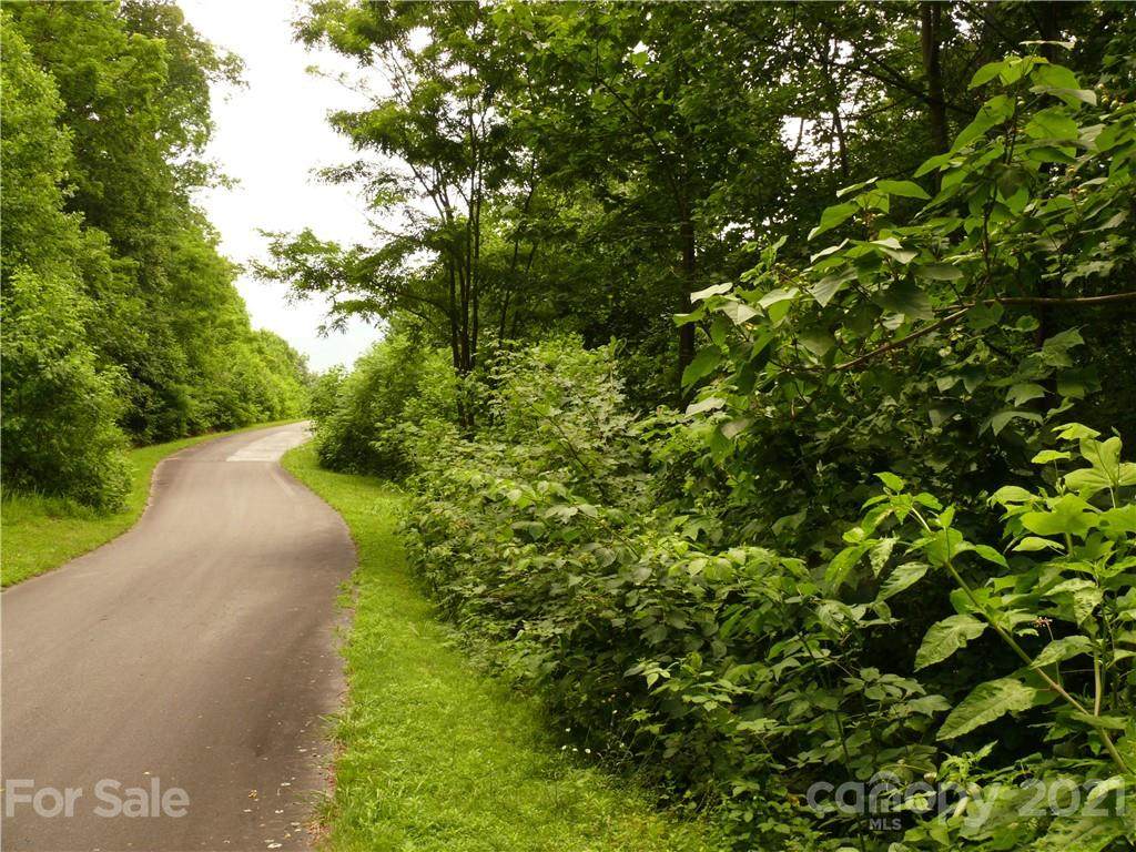 LOT 6 Buffalo Shoals Road - Photo 1
