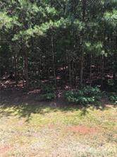 00 Whisper Lake Drive - Photo 1