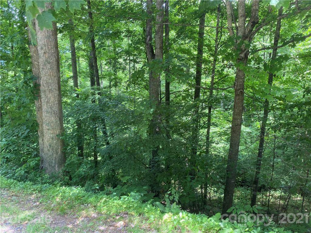 LOT 161 Dry Spring Loop - Photo 1