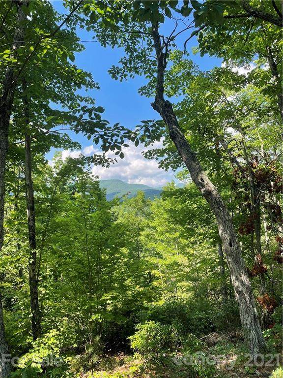 V/L Fox Ridge Trail - Photo 1