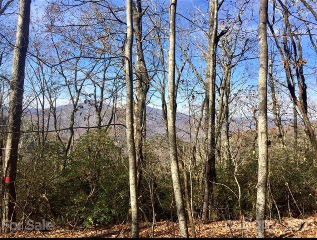 572 Deer Run - Photo 1