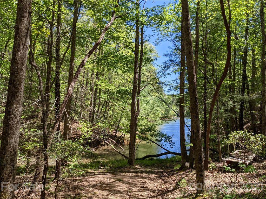 171 Big Tree Way - Photo 1
