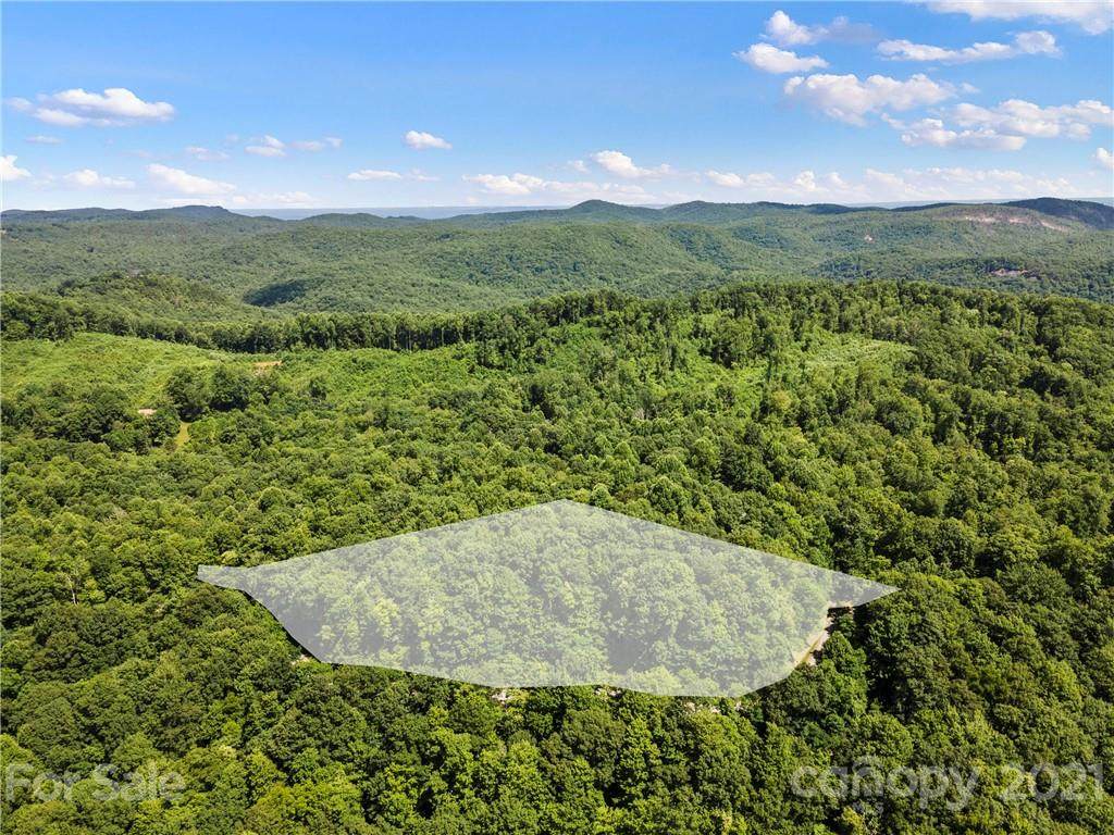 TBD Big Branch Road - Photo 1