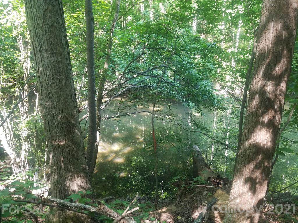 Lot 16 Trollingwood Lane - Photo 1