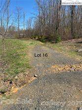 TBD Forest Oak Lane - Photo 1