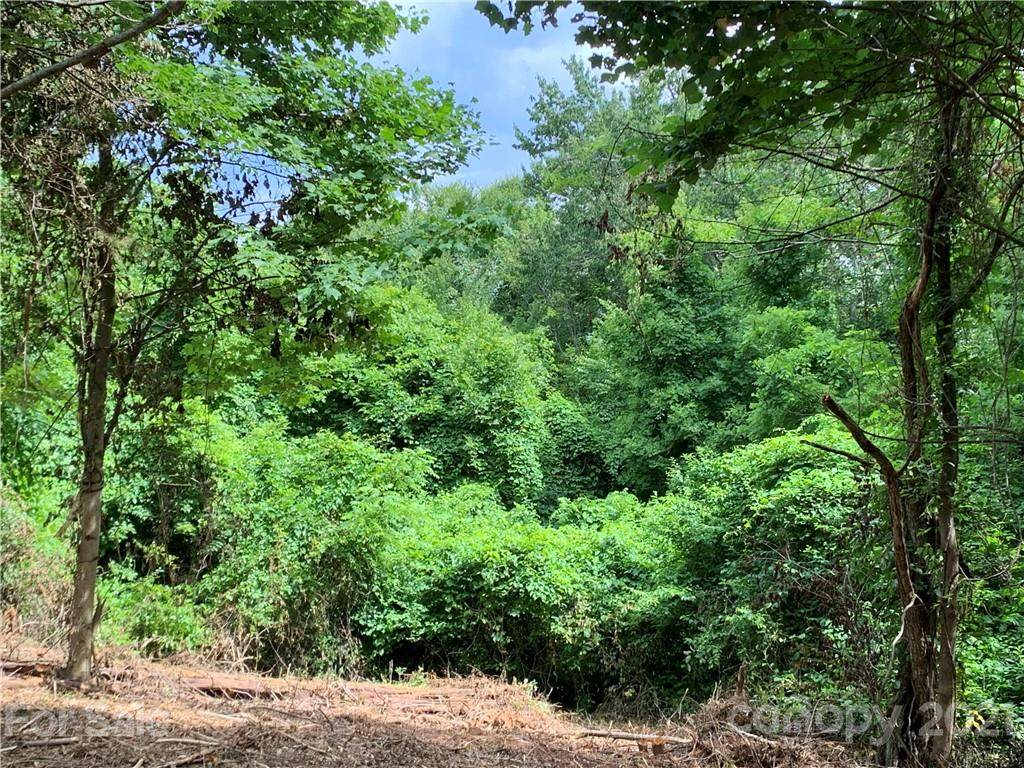 85 View Ridge Parkway - Photo 1