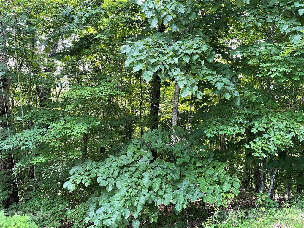 727/728 Mckinney Gap Road - Photo 1