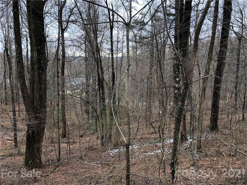 Lots 24,25,26,31,32, Echo Lake - Photo 1