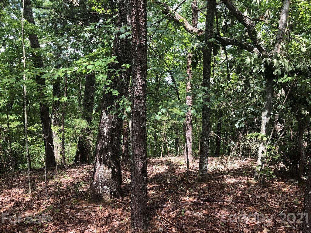 0 Buffalo Creek Road - Photo 1
